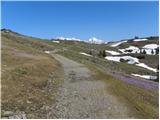 Kraljev hrib - Gradišče (Velika planina)